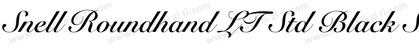 Snell Roundhand LT Std Black Script字体转换